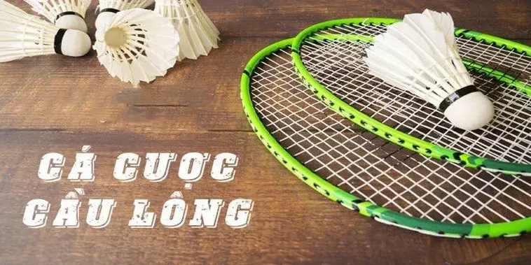 Cách Chơi Cá Cược Cầu Lông Tại 789Club Hiệu Quả Và Chính Xác Nhất