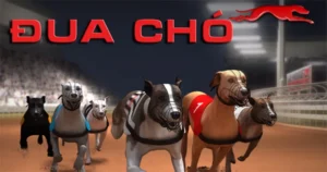 Cách Chơi Game Nhanh Đua Chó Tại 789Club Hiệu Quả Dễ Hiểu​